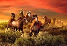 horses Art HD Wallpaper