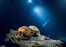 1600x1200 px cave Cenote geographic light National nature skulls Snorkeling underwater Art HD Wallpaper