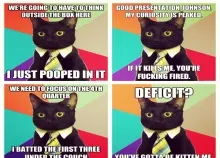 1920x1440 px 38 cat funny grumpy humor meme quote Art HD Wallpaper