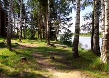 2048x1365 px forest river russia Yaroslavl Art HD Wallpaper