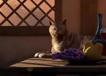 1920x1200 px animals art artistic candles cats drinks fire flames food fruit grapes life paintings S Art HD Wallpaper