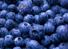 2560x1600 px Berries blueberries drops food fruits nature water Art HD Wallpaper