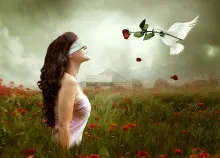 1920x1200 px animals art birds Blindfold CG clouds digital dove emotion fantasy fields flowers Gothi Art HD Wallpaper