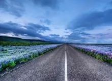 1920x1200 px Asphalt clouds fields flowers landscapes lines nature roads skies sky stripes Art HD Wallpaper