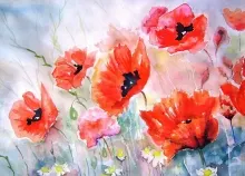 1920x1200 px art bokeh flower painting Poppies Art HD Wallpaper