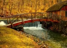 1920x1080 px autumn bridge Fall forest landscape leaf leaves nature path Trail tree Art HD Wallpaper