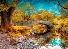 1920x1280 px Arch autumn bridge clouds forest park reflection river sky Trees Art HD Wallpaper