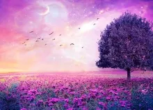 2880x1800 px artwork fantasy field flower lonely nature Purple sky stars tree Art HD Wallpaper