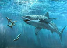 2880x1800 px art artwork fish fishes ocean sea shark tropical underwater Art HD Wallpaper