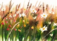 2560x1600 px artwork flowers paintings Art HD Wallpaper
