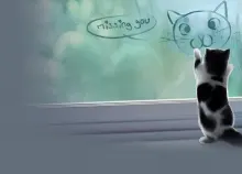 1920x1080 px cat funny grumpy humor Kitten love meme mood quote Sad Art HD Wallpaper