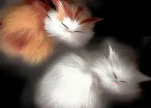 1600x1200 px cats Art HD Wallpaper