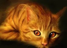 1440x1152 px cat eyes Figure koshak Oil yellow Art HD Wallpaper