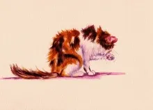 2048x1454 px animals art cats painting Art HD Wallpaper