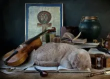1920x1200 px Book cat Pipe sleep Violin Art HD Wallpaper