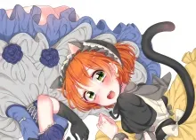 2591x3624 px cat Hoshizora Live love Nozomi Rin tail Toujou Art HD Wallpaper