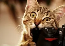 2560x1024 px dual monitor multi screen Widescreen Art HD Wallpaper